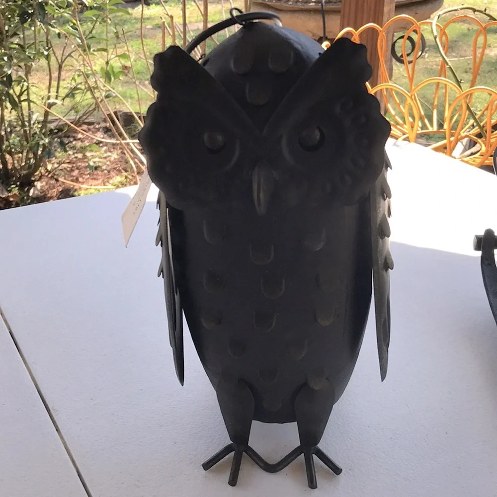 Pottery Barn barn owl luminary RARE 🦉BNWT